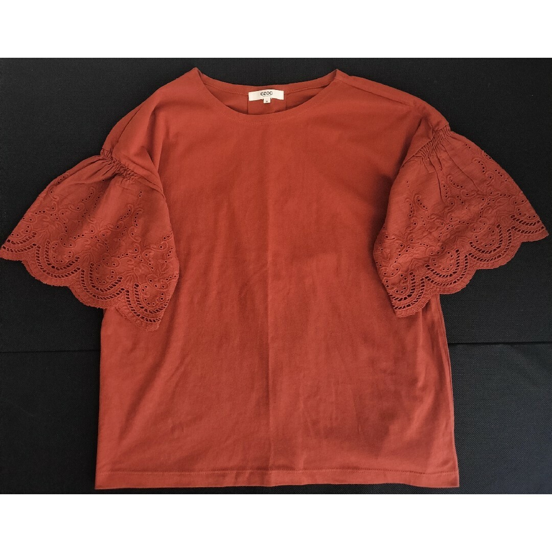 OZOC(オゾック)のOZOC  刺繍袖 トップス  M  ブラウン系 レディースのトップス(カットソー(半袖/袖なし))の商品写真