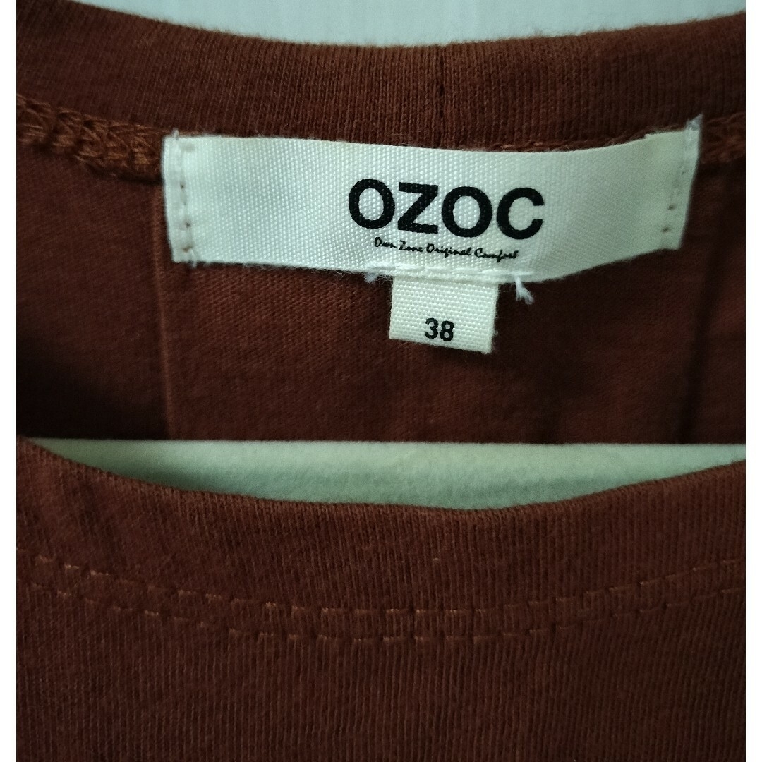OZOC(オゾック)のOZOC  刺繍袖 トップス  M  ブラウン系 レディースのトップス(カットソー(半袖/袖なし))の商品写真
