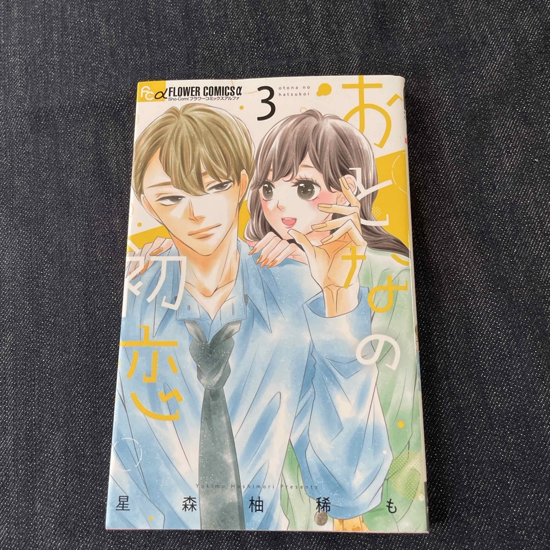 おとなの初恋 エンタメ/ホビーの漫画(少女漫画)の商品写真