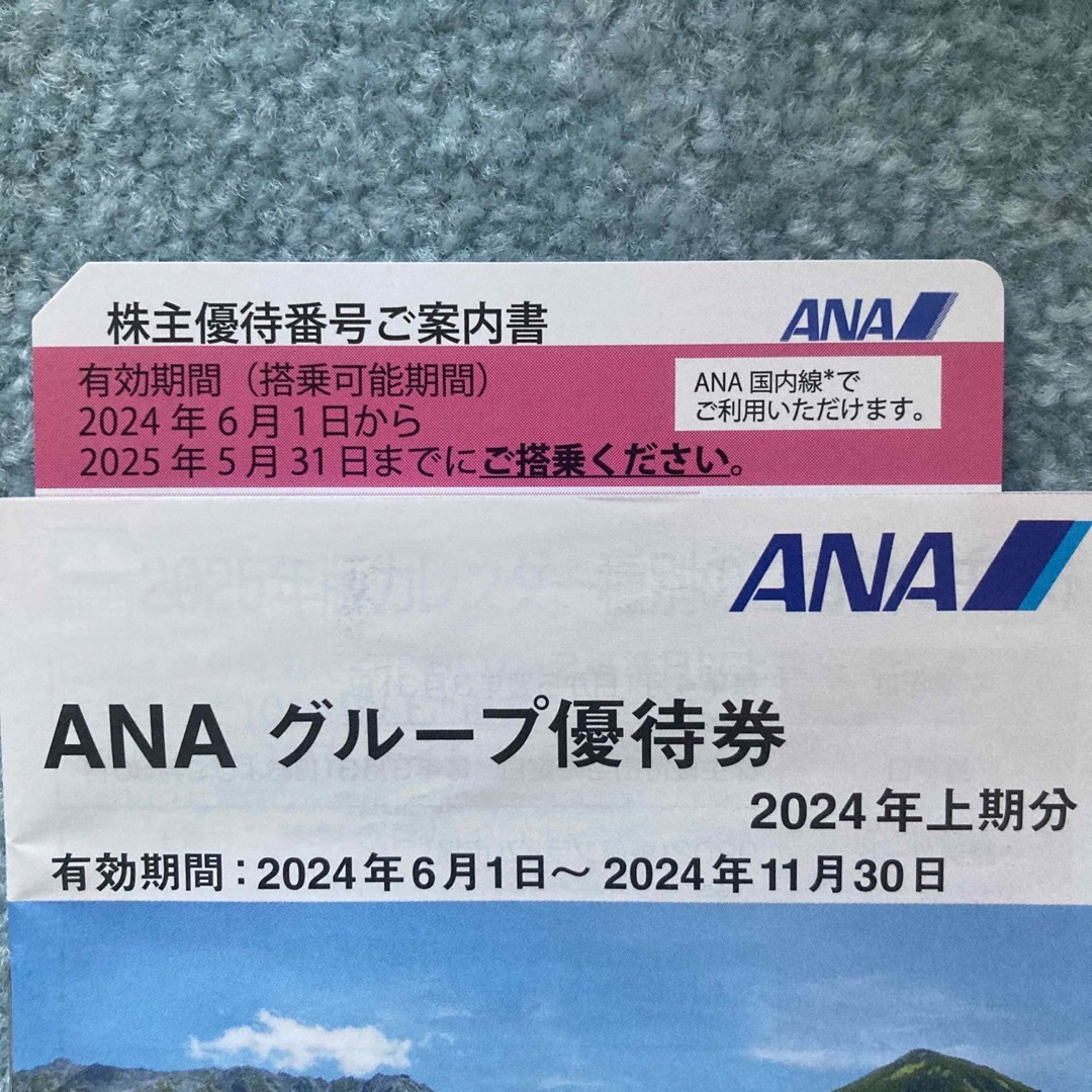 ANA(全日本空輸)(エーエヌエー(ゼンニッポンクウユ))のANA株主優待　1枚 チケットのチケット その他(その他)の商品写真