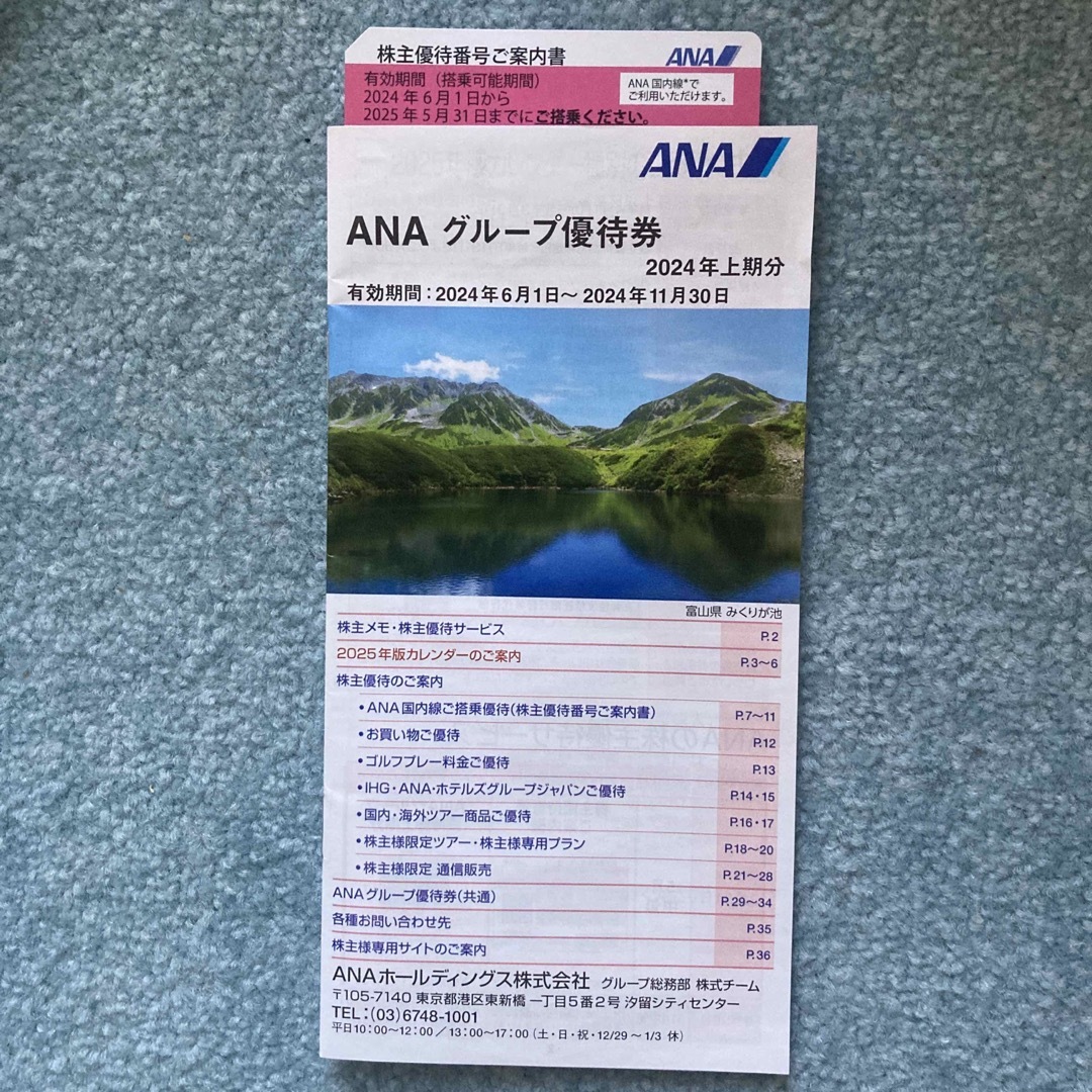 ANA(全日本空輸)(エーエヌエー(ゼンニッポンクウユ))のANA株主優待　1枚 チケットのチケット その他(その他)の商品写真