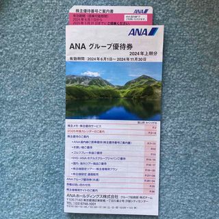 エーエヌエー(ゼンニッポンクウユ)(ANA(全日本空輸))のANA株主優待　1枚(その他)