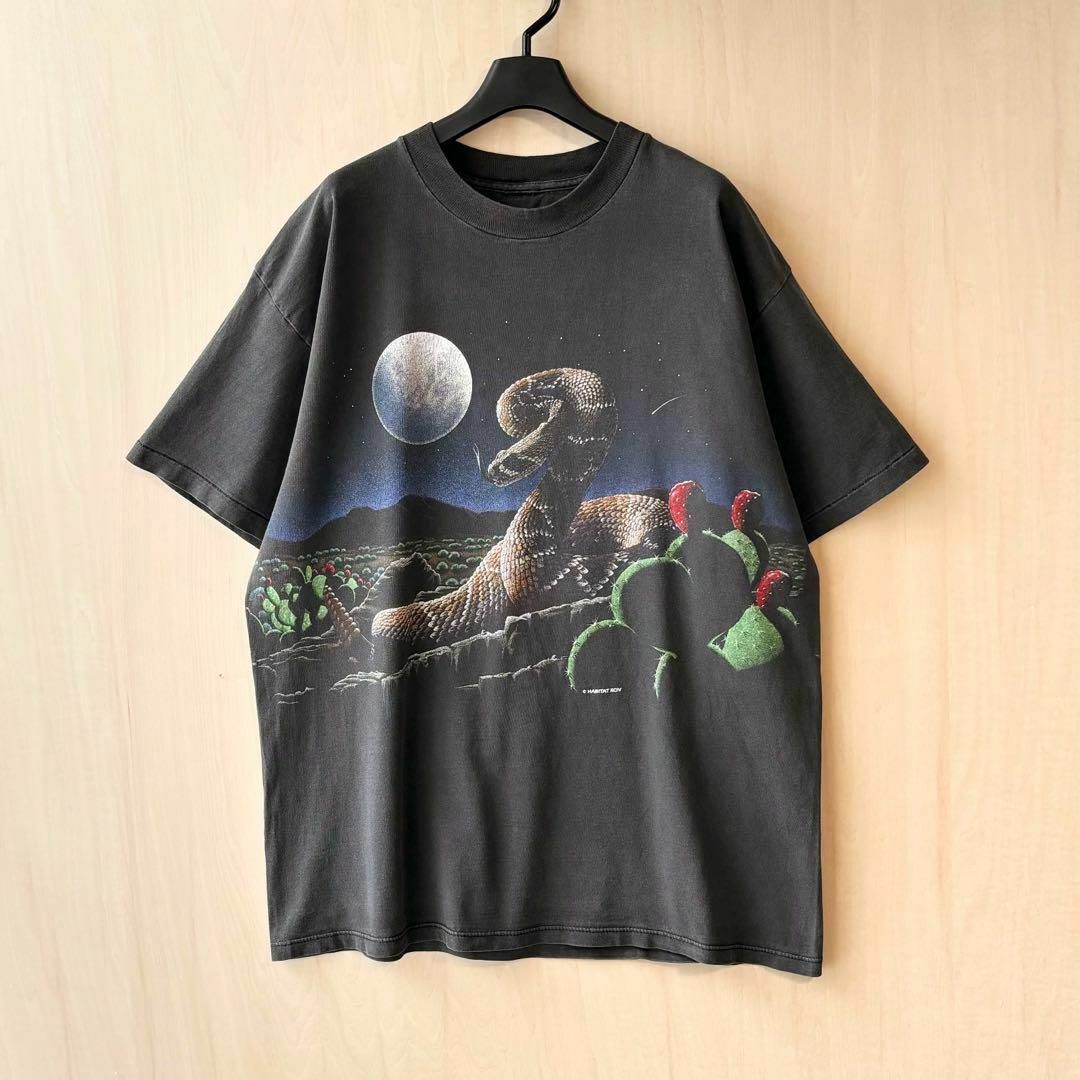 VINTAGE(ヴィンテージ)の90s古着　ヴィンテージ　Tシャツ　グラフィック　ヘビとサボテン　荒野と月夜 メンズのトップス(Tシャツ/カットソー(半袖/袖なし))の商品写真