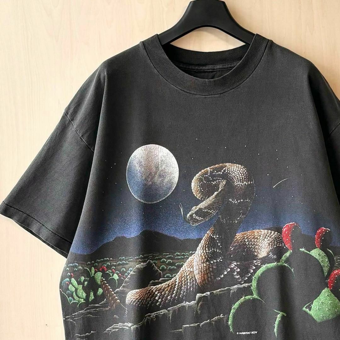 VINTAGE(ヴィンテージ)の90s古着　ヴィンテージ　Tシャツ　グラフィック　ヘビとサボテン　荒野と月夜 メンズのトップス(Tシャツ/カットソー(半袖/袖なし))の商品写真