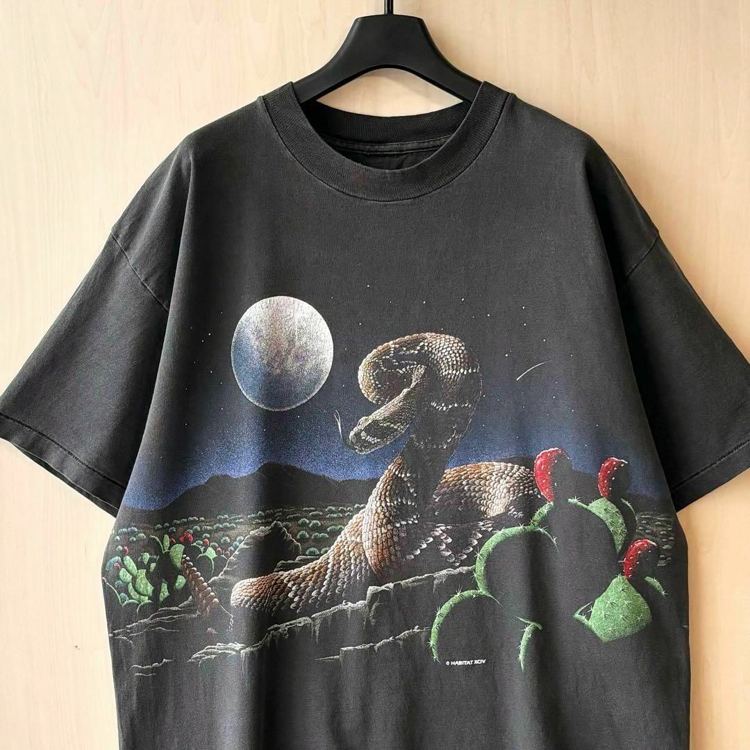VINTAGE(ヴィンテージ)の90s古着　ヴィンテージ　Tシャツ　グラフィック　ヘビとサボテン　荒野と月夜 メンズのトップス(Tシャツ/カットソー(半袖/袖なし))の商品写真