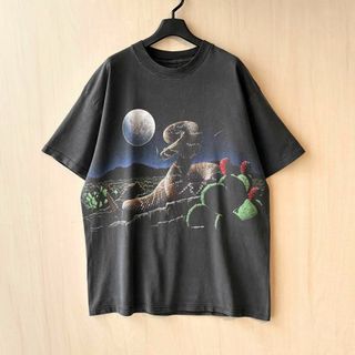 ヴィンテージ(VINTAGE)の90s古着　ヴィンテージ　Tシャツ　グラフィック　ヘビとサボテン　荒野と月夜(Tシャツ/カットソー(半袖/袖なし))