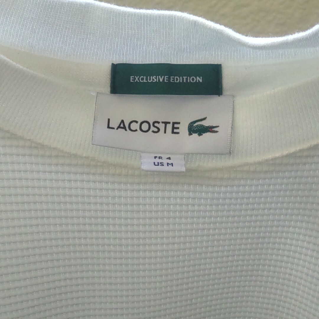 LACOSTE(ラコステ)のLACOSTE メンズのトップス(シャツ)の商品写真