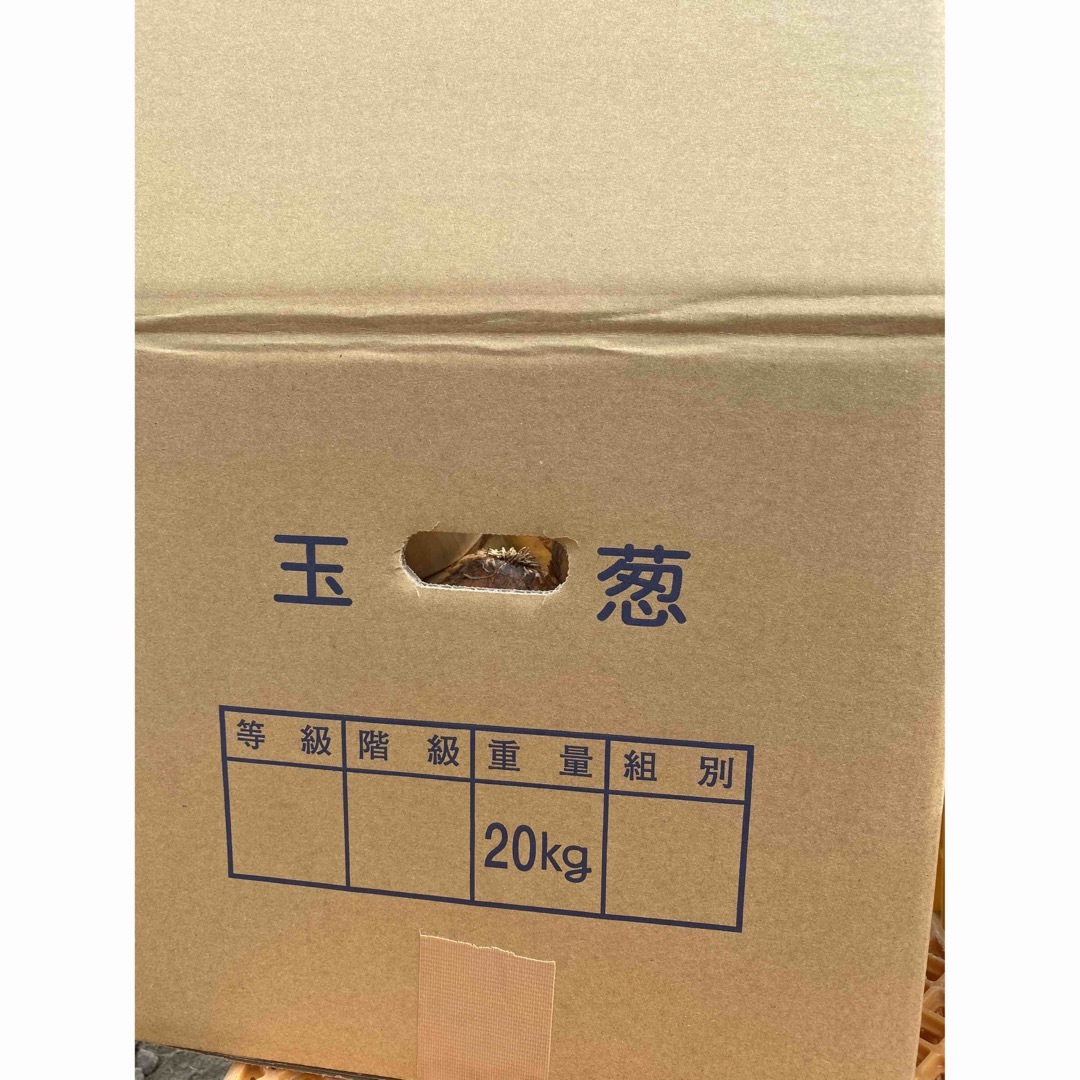 【淡路島の玉葱】新玉ねぎ 20kg 訳あり品 食品/飲料/酒の食品(野菜)の商品写真