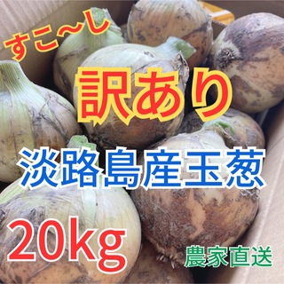 【淡路島の玉葱】新玉ねぎ 20kg 訳あり品