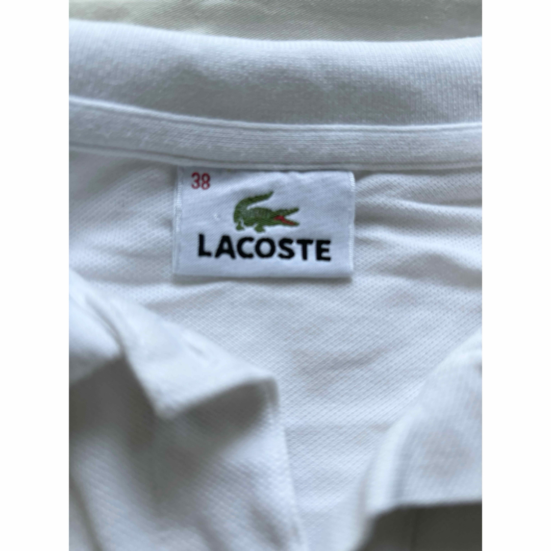 LACOSTE(ラコステ)のラコステ　ポロシャツ　 レディースのトップス(ポロシャツ)の商品写真