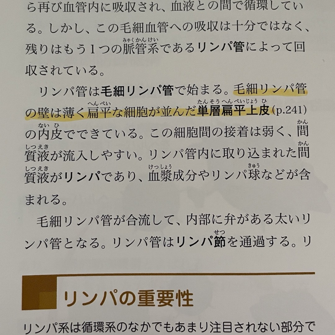 ぜんぶわかる人体解剖図 エンタメ/ホビーの本(その他)の商品写真