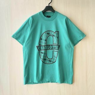 フルーツオブザルーム(FRUIT OF THE LOOM)の90s古着　ヴィンテージ　ロゴTシャツ　マドラスチェック　フルーツオブザルーム(Tシャツ/カットソー(半袖/袖なし))