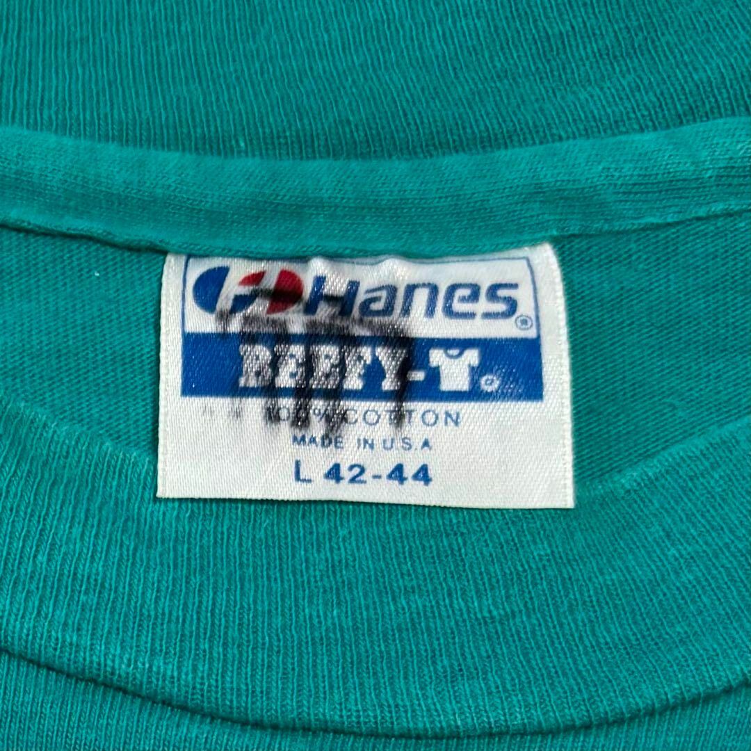 Hanes(ヘインズ)の90sUSA製古着　ヘインズ　ビーフィ　ヴィンテージ　Tシャツ　ハワイカウアイ島 メンズのトップス(Tシャツ/カットソー(半袖/袖なし))の商品写真
