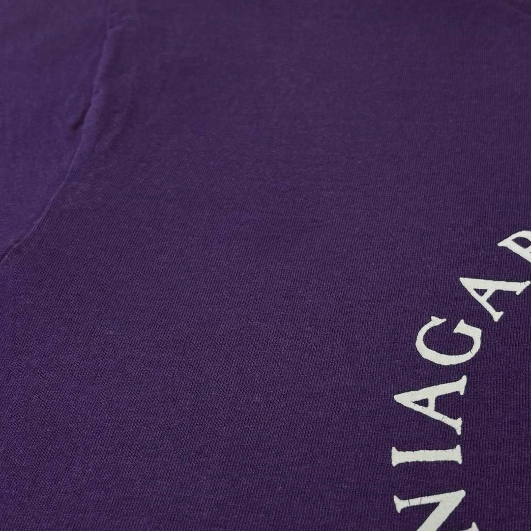 FRUIT OF THE LOOM(フルーツオブザルーム)の90s USA製古着　ヴィンテージ　イベントTシャツ　ナイアガラ大学　キャラ メンズのトップス(Tシャツ/カットソー(半袖/袖なし))の商品写真