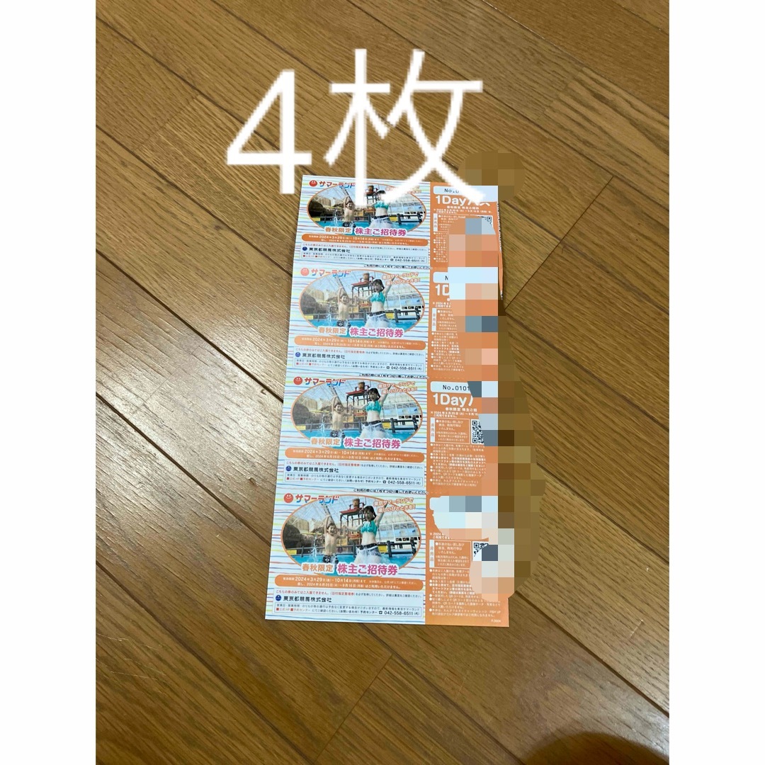 最新　東京サマーランド　春秋限定　株主優待券　4枚 チケットの施設利用券(プール)の商品写真