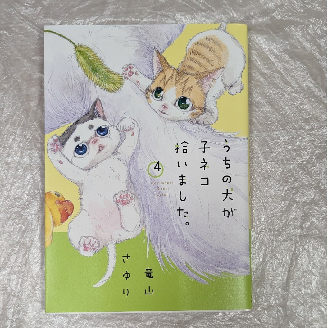 うちの犬が子ネコ拾いました 漫画 コミックス 犬 猫 エンタメ/ホビーの漫画(その他)の商品写真