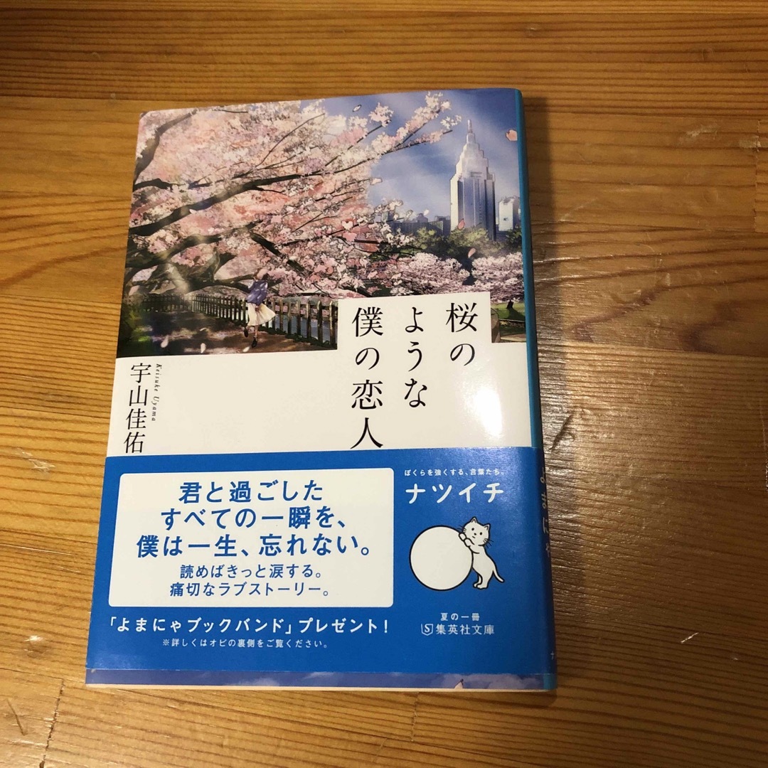 桜のような僕の恋人 エンタメ/ホビーの本(文学/小説)の商品写真