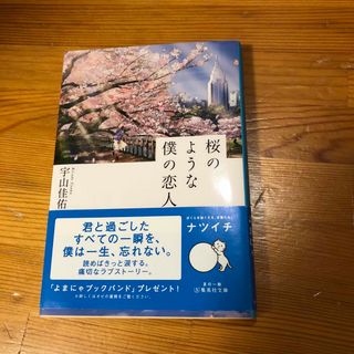 桜のような僕の恋人(文学/小説)