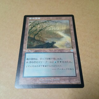 マジックザギャザリング(マジック：ザ・ギャザリング)のMTG 塩の湿地(シングルカード)