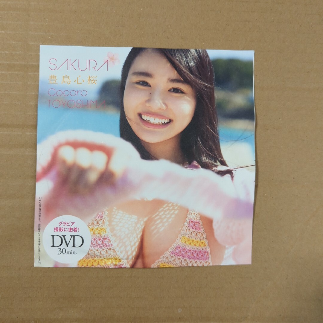 豊島心桜DVD エンタメ/ホビーのDVD/ブルーレイ(ミュージック)の商品写真