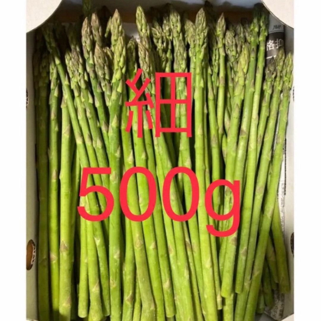 アスパラ　細500g アスパラガス 食品/飲料/酒の食品(野菜)の商品写真