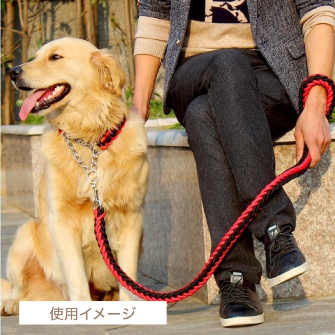 犬リード　大型犬リード　中型犬リード　犬リード　Mサイズ　ロープリード　1.2m その他のペット用品(犬)の商品写真