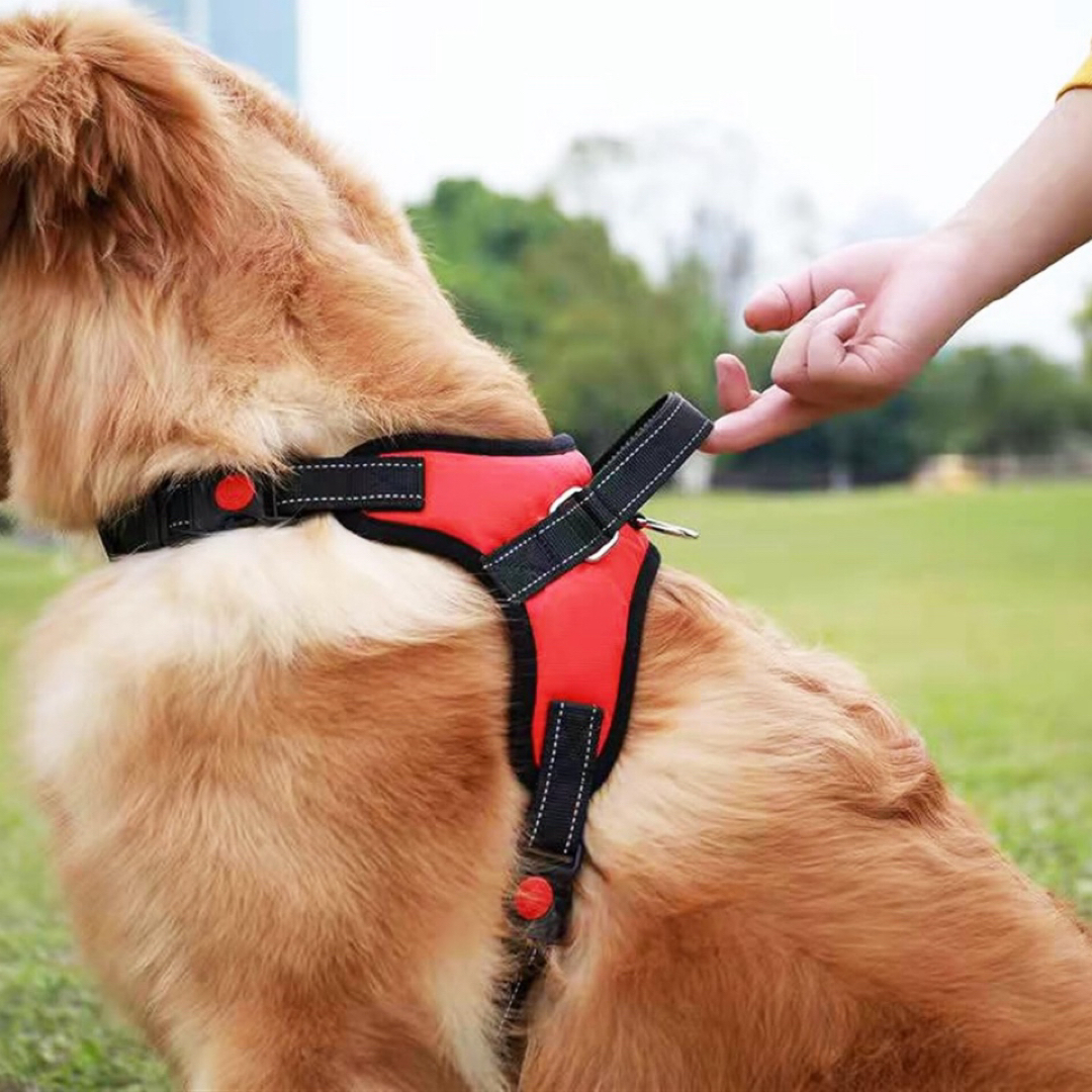 【新品】ハーネス  赤　M  犬   中型犬　メッシュ　ペット　お散歩 その他のペット用品(犬)の商品写真