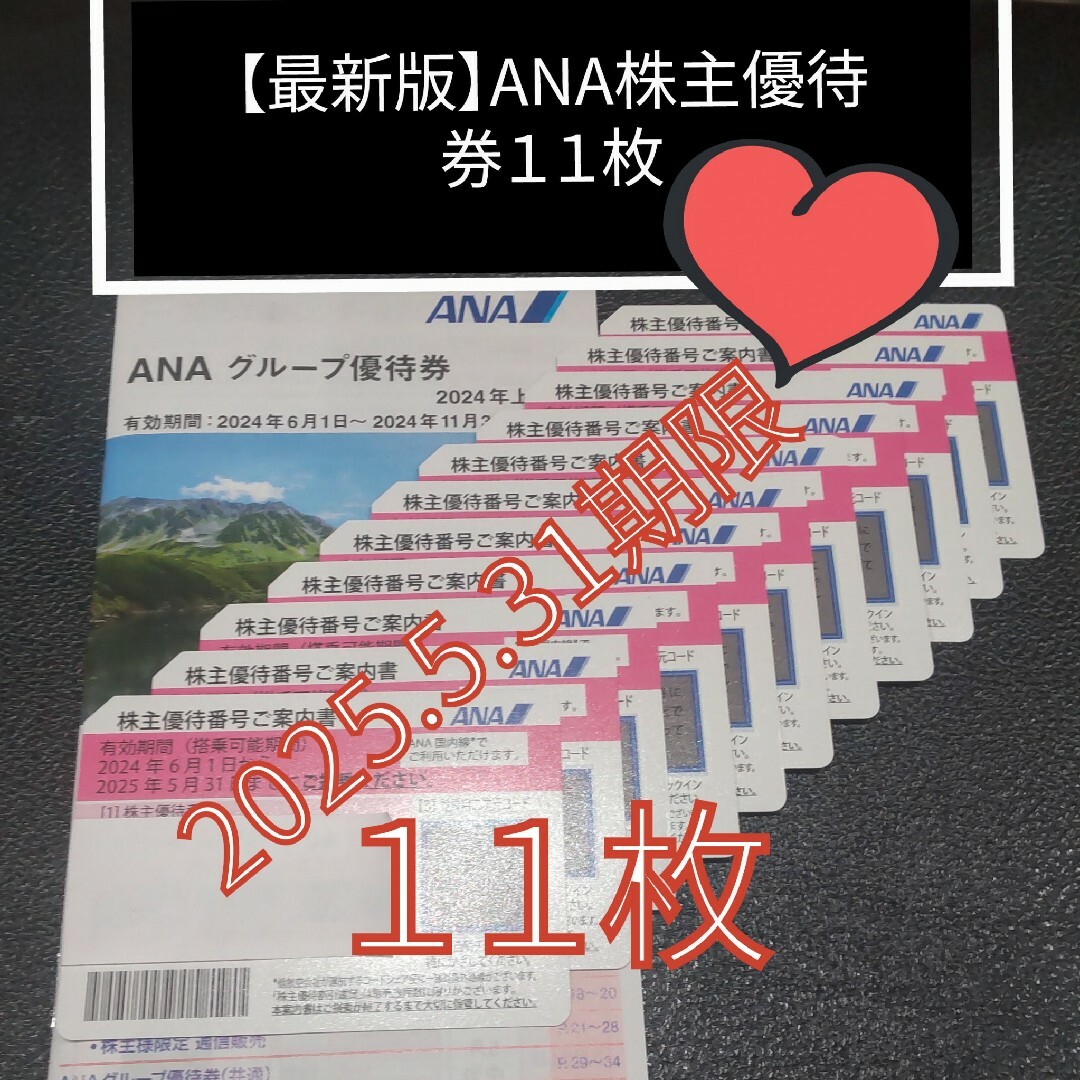 ANA(全日本空輸)(エーエヌエー(ゼンニッポンクウユ))の【最新】ANA株主優待券11枚【2025.5.31期限】ANAグループ優待4冊 チケットの乗車券/交通券(航空券)の商品写真