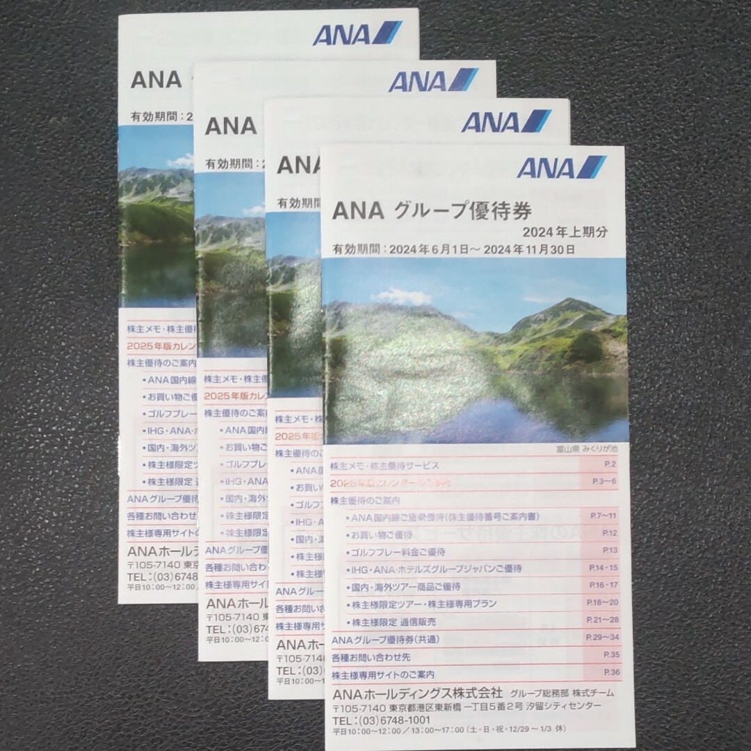 ANA(全日本空輸)(エーエヌエー(ゼンニッポンクウユ))の【最新】ANA株主優待券11枚【2025.5.31期限】ANAグループ優待4冊 チケットの乗車券/交通券(航空券)の商品写真