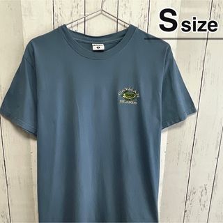 USA古着　Tシャツ　S　ダスティーブルー　カメ　ワンポイント　アニマル柄　刺繍(Tシャツ/カットソー(半袖/袖なし))