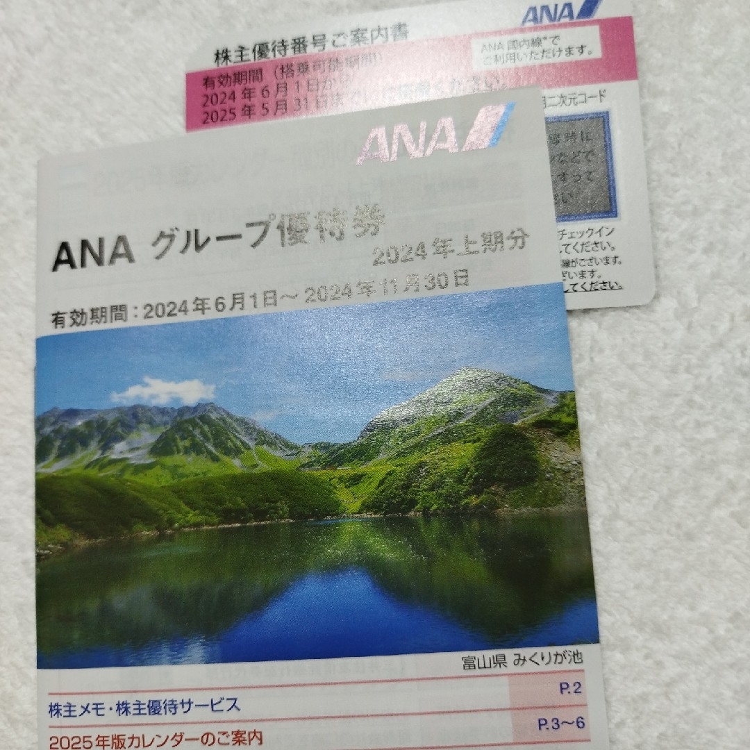 ANA株主優待券　2024年上期分 チケットの優待券/割引券(その他)の商品写真