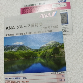 ANA株主優待券　2024年上期分(その他)