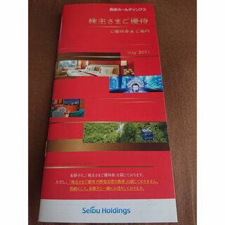 西武ホールディングス 株主優待 冊子 1冊 2024年11月末(ショッピング)