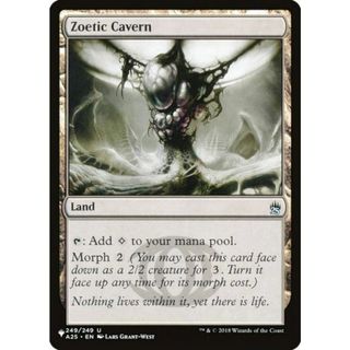 マジックザギャザリング A25 Zoetic Cavern (日本語版 アンコモン) The List ザ・リスト (MTG)(その他)