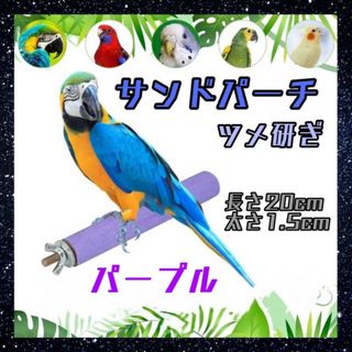 サンドパーチ　パープル　20㎝　鳥　爪とぎ　くちばし研ぎ　止まり木　インコ　紫色(鳥)