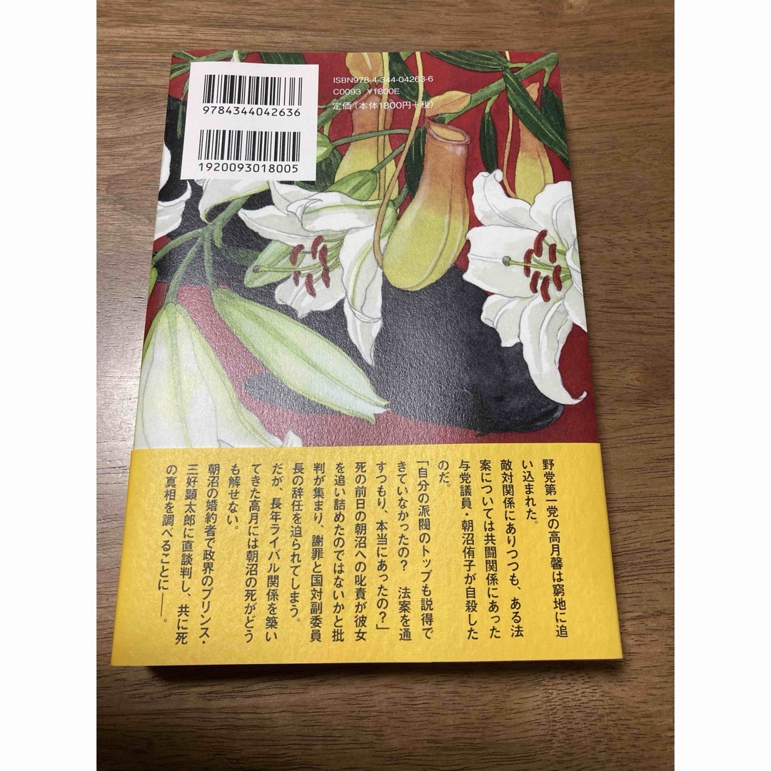 女の国会 エンタメ/ホビーの本(文学/小説)の商品写真