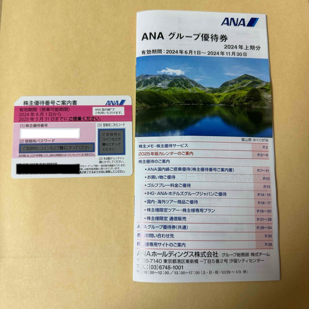 ANA(全日本空輸)(エーエヌエー(ゼンニッポンクウユ))のANA 株主優待　割引券＋冊子 チケットの乗車券/交通券(航空券)の商品写真