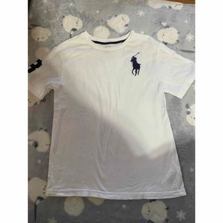 POLO RALPH LAUREN - ラルフ150