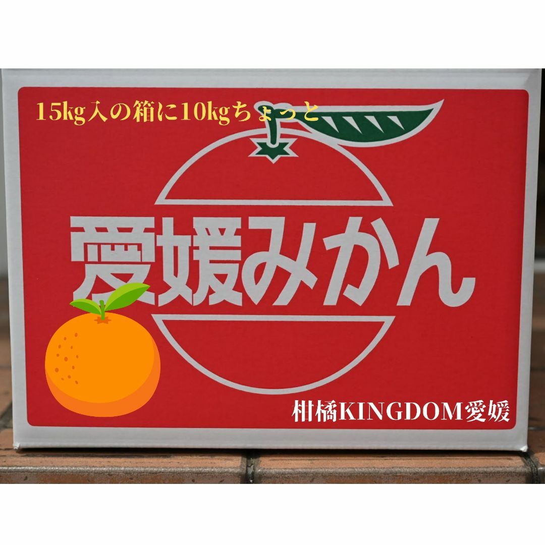 河内晩柑10㎏愛媛県宇和島市産 食品/飲料/酒の食品(フルーツ)の商品写真