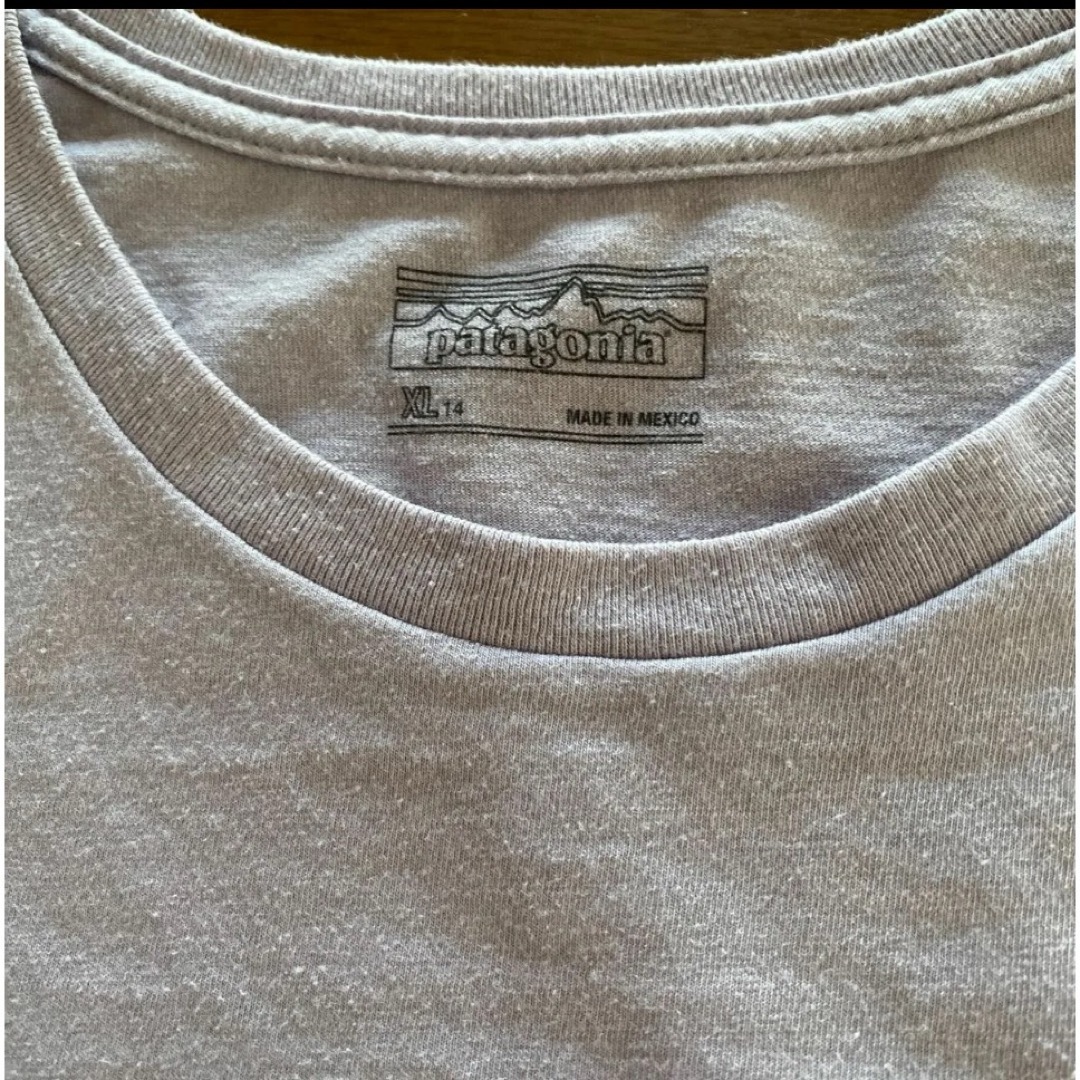 patagonia(パタゴニア)のパタゴニアTシャツ レディースのトップス(Tシャツ(半袖/袖なし))の商品写真