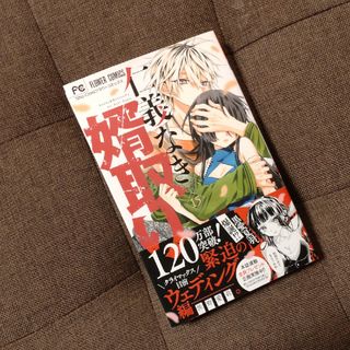 仁義なき婿取り 15(少女漫画)