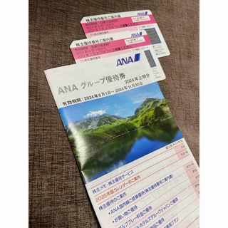 エーエヌエー(ゼンニッポンクウユ)(ANA(全日本空輸))のANA株主優待券(航空券)