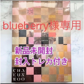 blueberry様専用(K-POP/アジア)