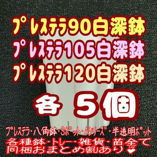 プレステラ深鉢90＆105＆120 白各5個 プラ鉢スリット鉢 多肉植物(プランター)