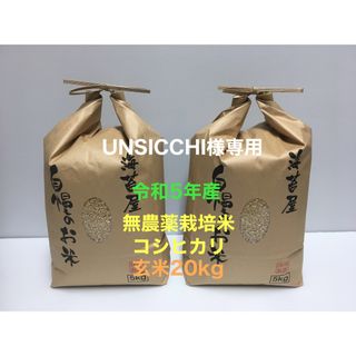 UNSICCHI様専用 無農薬コシヒカリ玄米20kg(5kg×4)令和5年産(米/穀物)