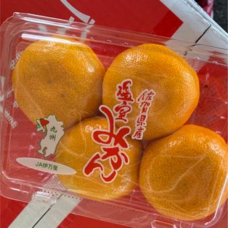 佐賀県伊万里産　温室みかん🍊(フルーツ)