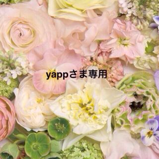 yappさま専用ページ♡