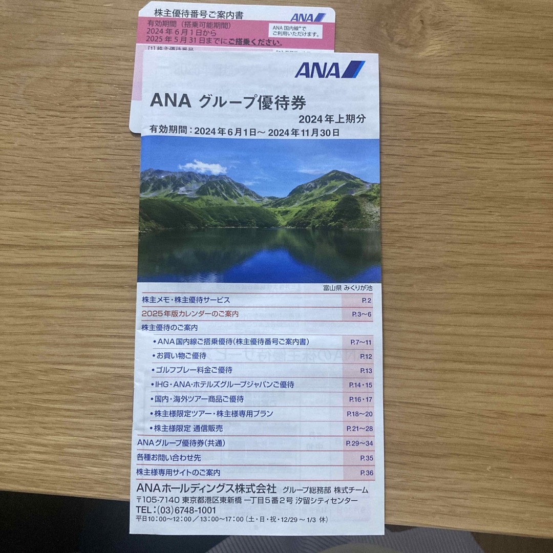 ANA(全日本空輸)(エーエヌエー(ゼンニッポンクウユ))のANA 株主優待 チケットの乗車券/交通券(航空券)の商品写真