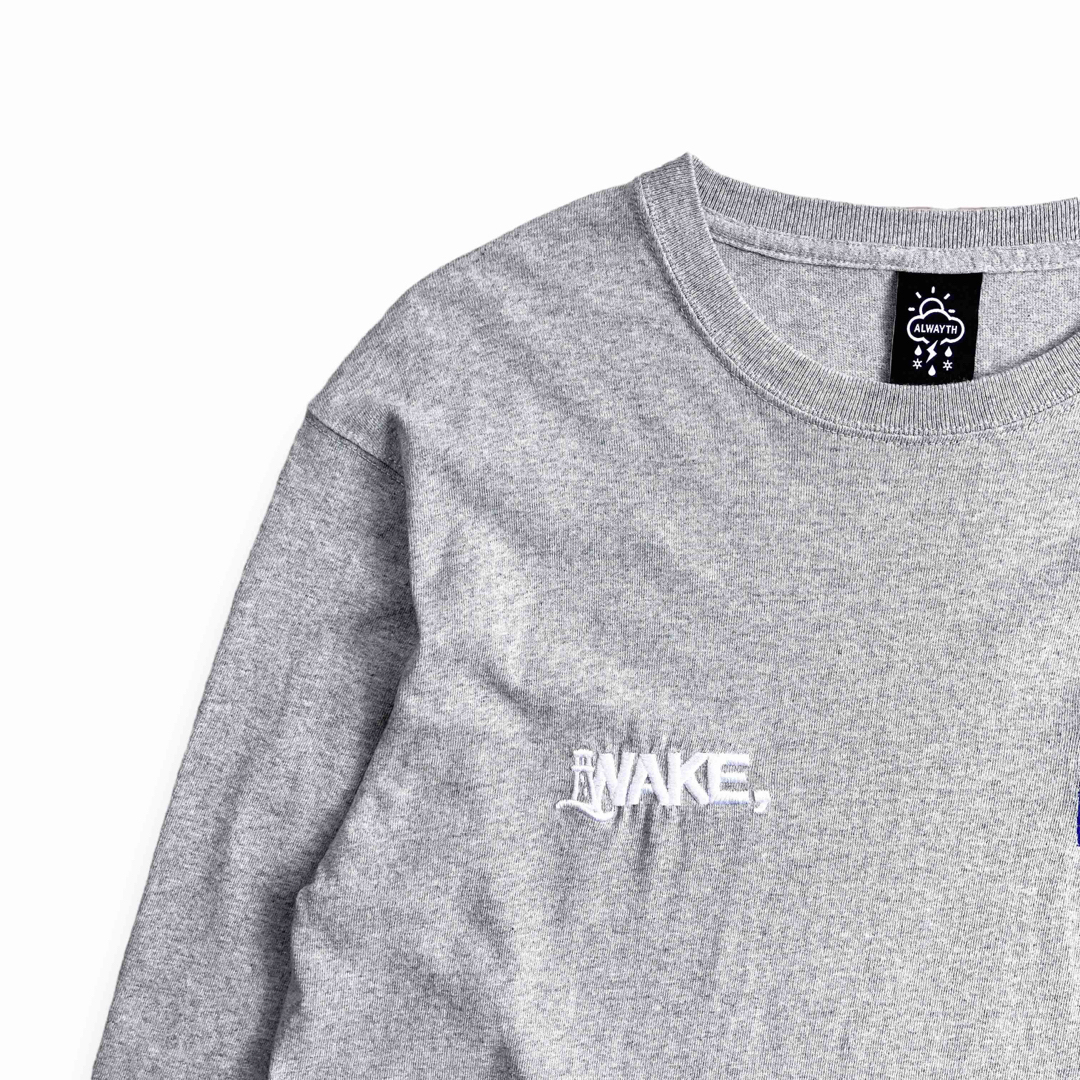1LDK SELECT(ワンエルディーケーセレクト)のALWAYTH WAKE.SAPPORO スーベニア 長袖Tシャツ ロンT メンズのトップス(Tシャツ/カットソー(七分/長袖))の商品写真