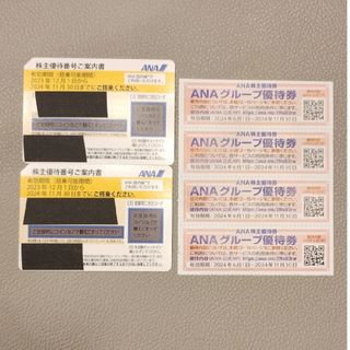 エーエヌエー(ゼンニッポンクウユ)(ANA(全日本空輸))の🌐ANA株主割引券2枚＋ANAグループ優待券4枚のセットです(その他)